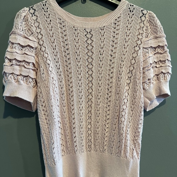 *GENTLY WORN* Express Women's XL Knit Short Sleeve Ruffled Sleeve Sweater - Picture 1 of 6